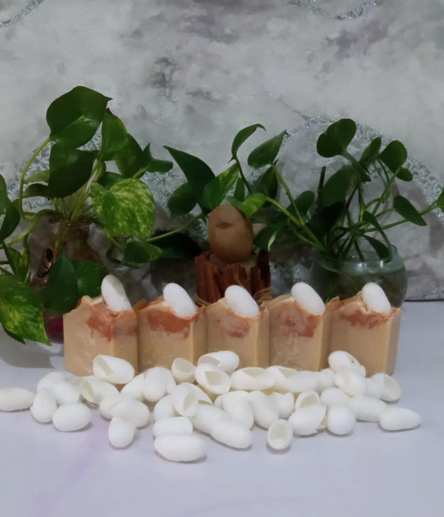 تقویت کننده